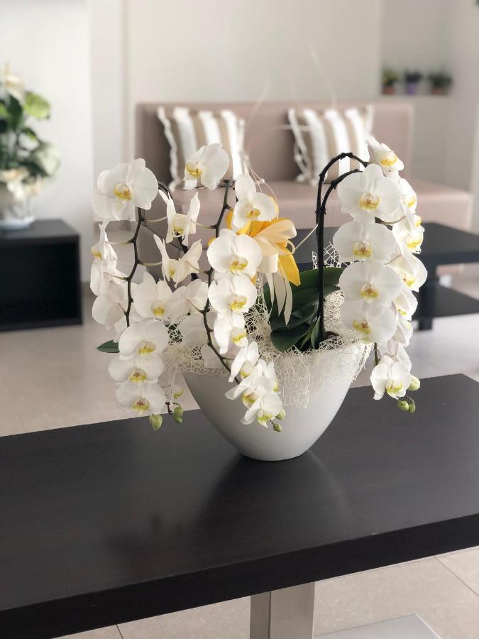 Hotel Carmen Riccione Kültér fotó